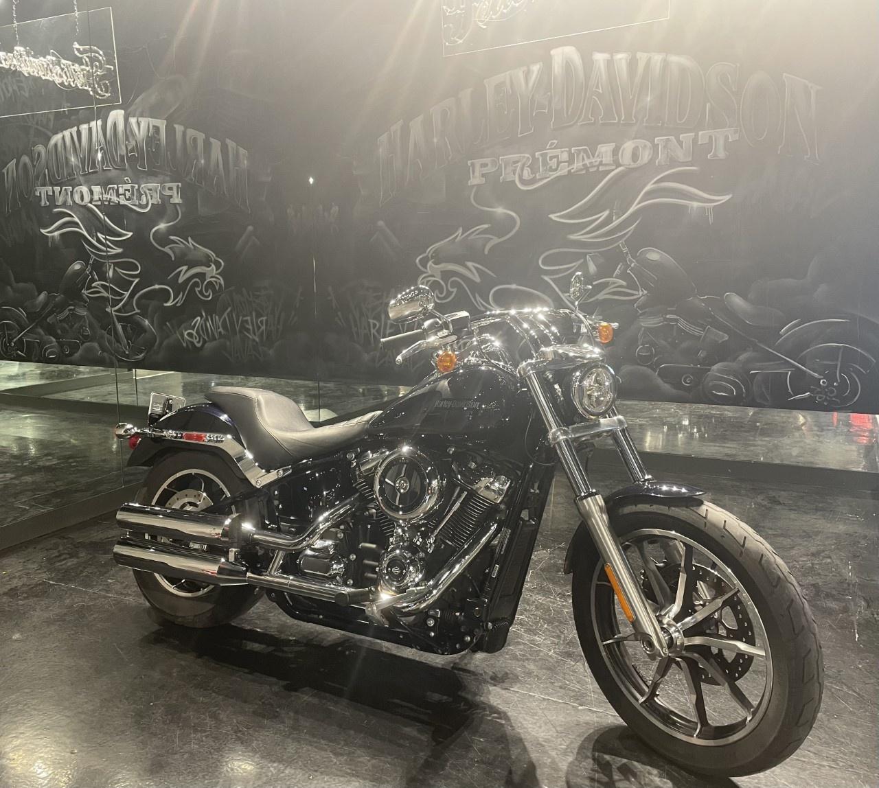 2019 Harley-Davidson LOW RIDER