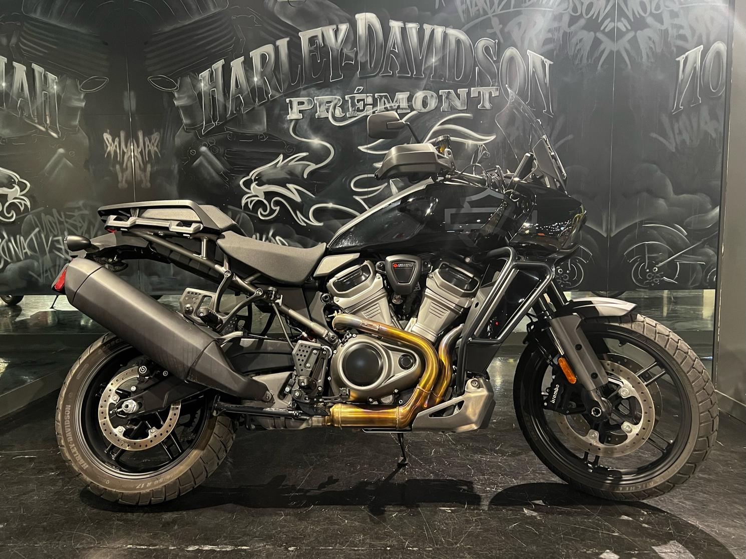 Harley-Davidson Pan America / RA1250S 2021