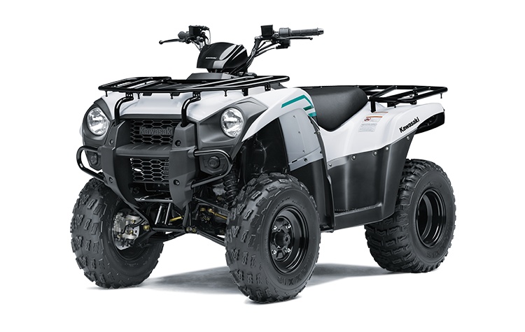 2023 Kawasaki 2023 Brute Force 300