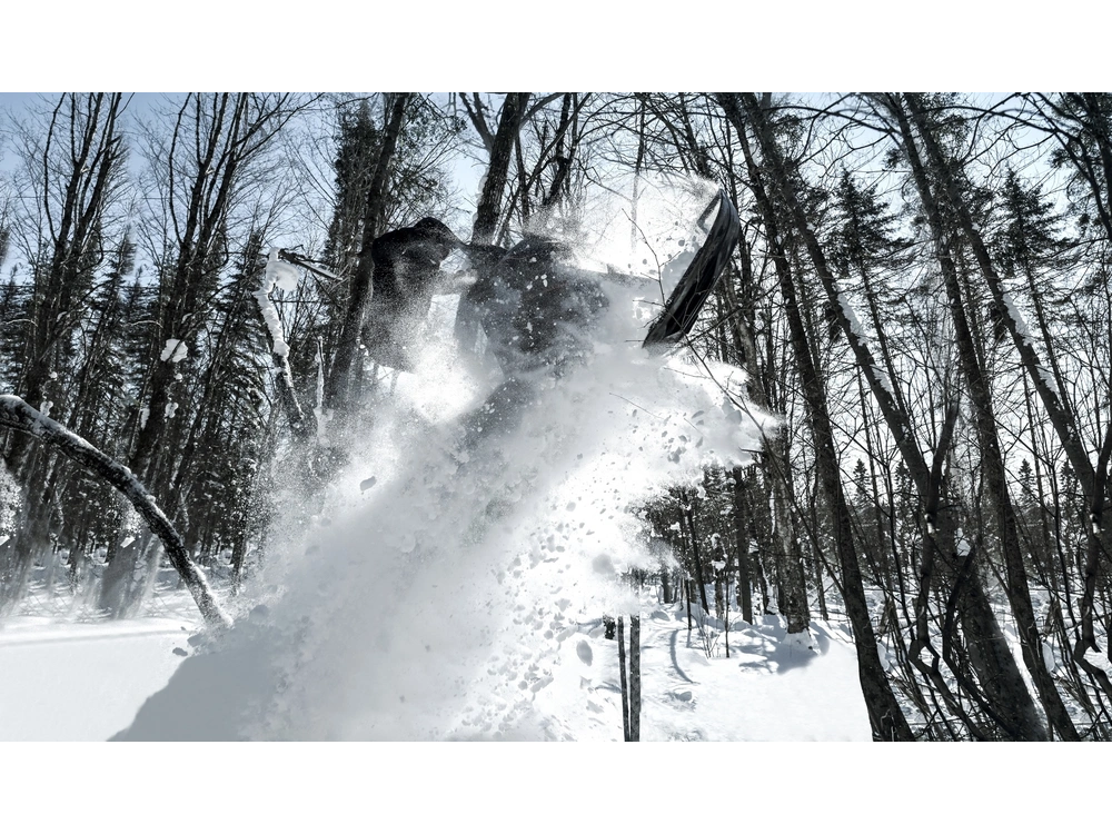 2023 Widescape Widescape 250 Efi alt