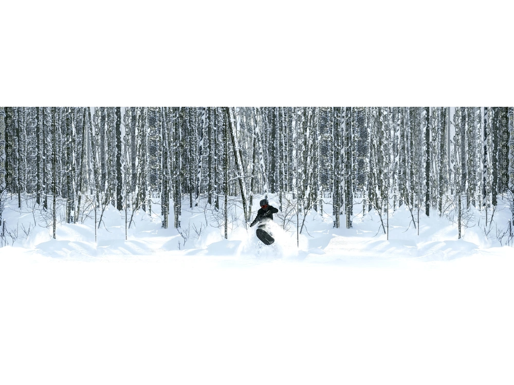 2023 Widescape Widescape 250 Efi alt