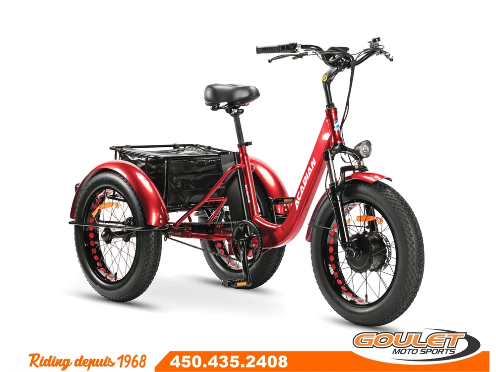 Slane Acadian Tricycle 2023 alt