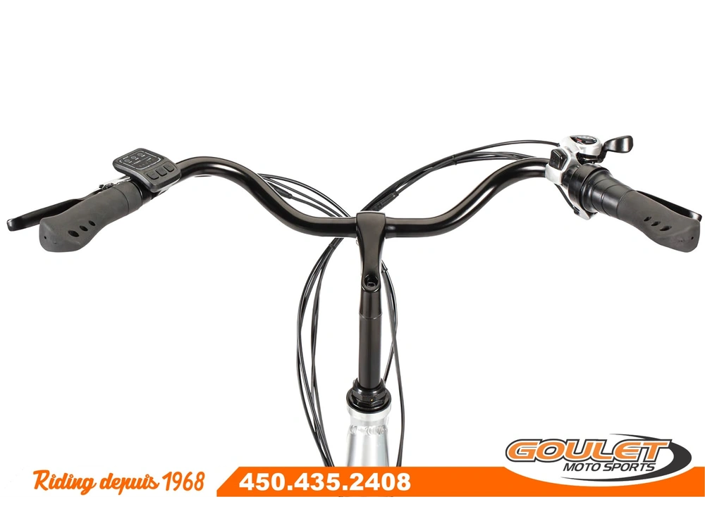 Slane Caledon 2023 alt