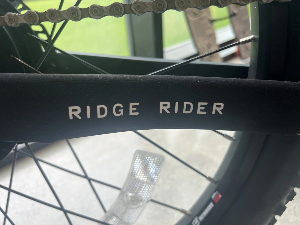 2021 Pedego 48v 14ah Ridge Rider Classic alt