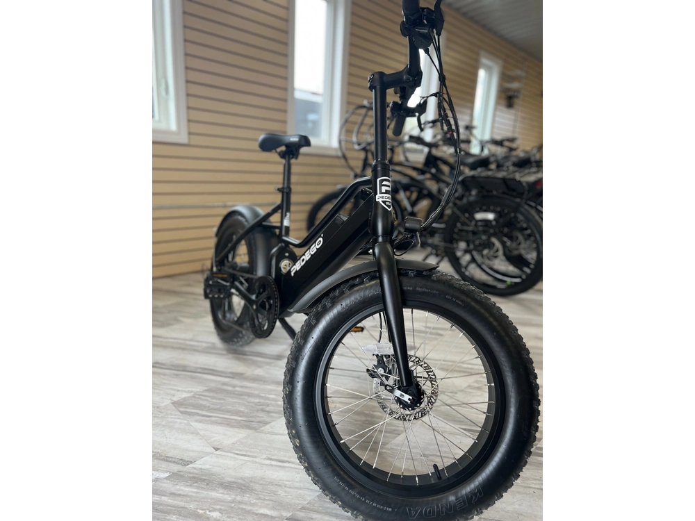 2022 Pedego Element V1 alt