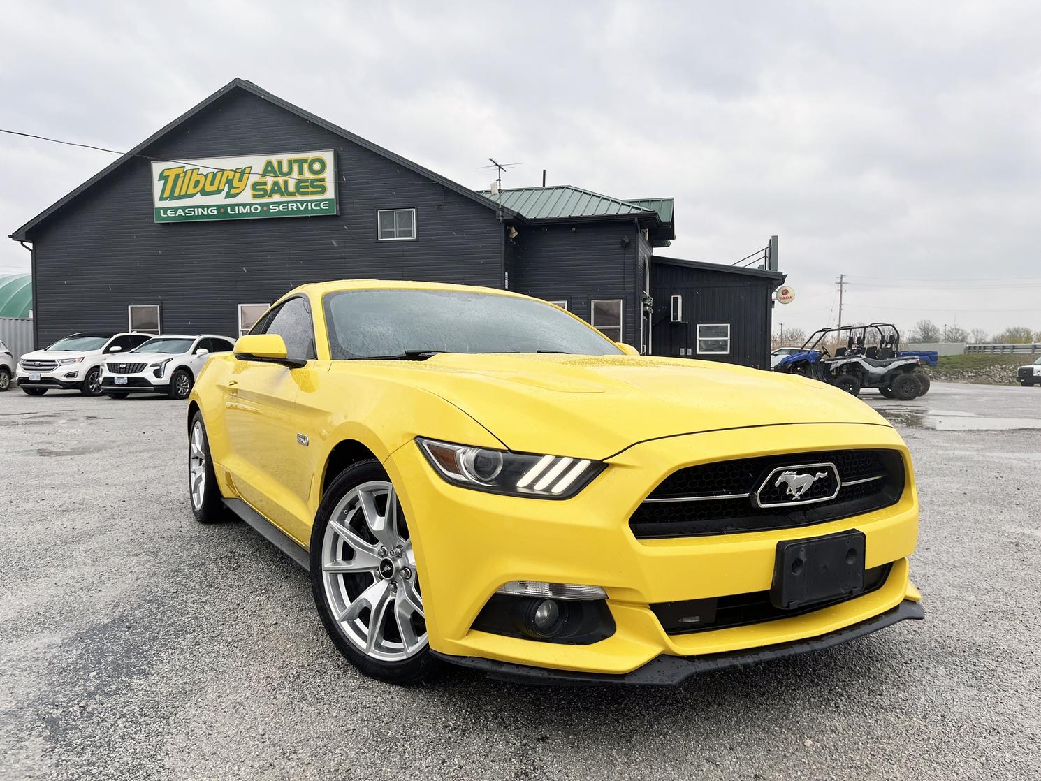 2015 Ford Mustang - Fastback GT 50th Anniversary Roush Supercharger