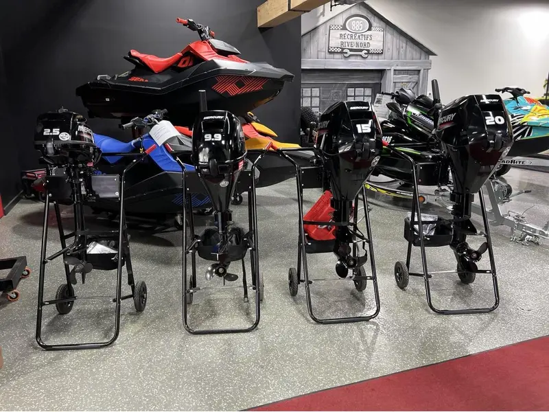 2024 Mercury 20 HP Pied Court (15 Pouces)