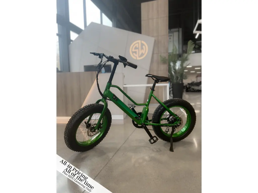 2021 Pedego 48V 10Ah Element