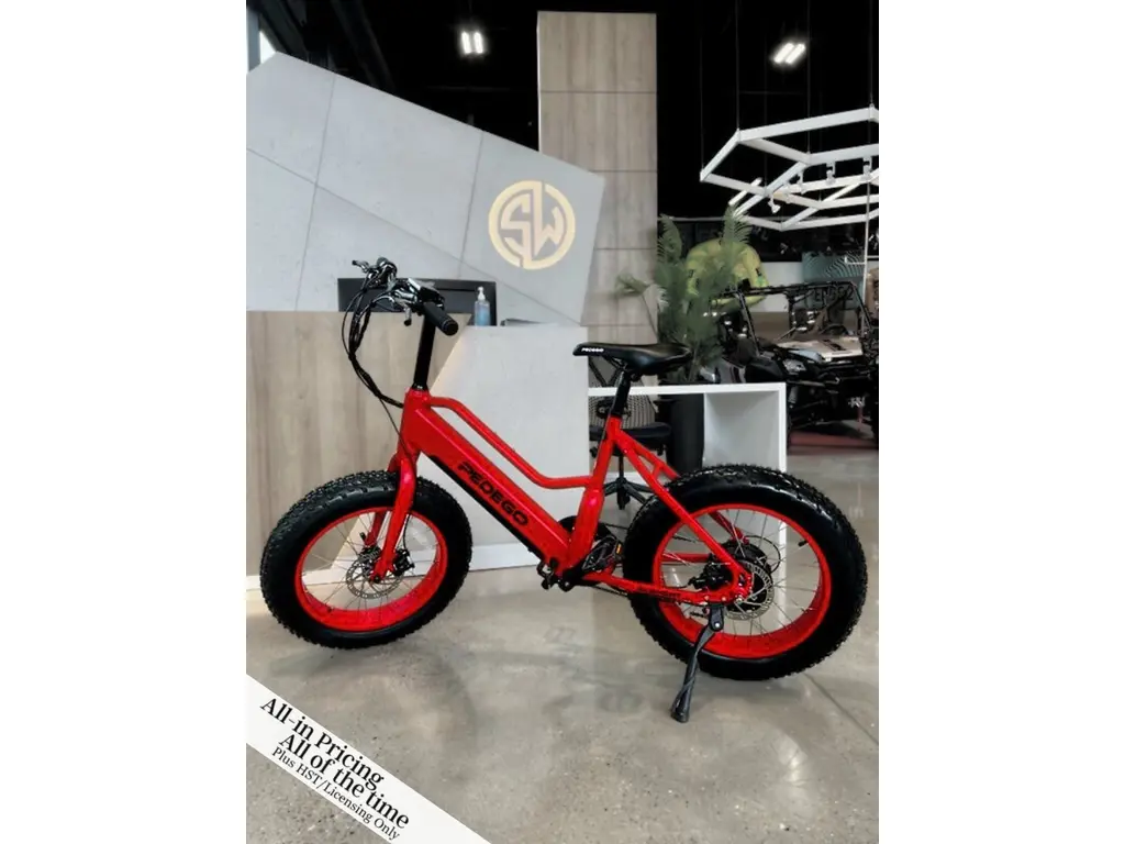 2021 Pedego 48V 10Ah Element