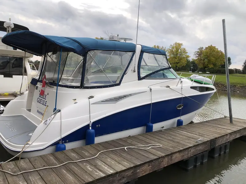 2006 Bayliner 325