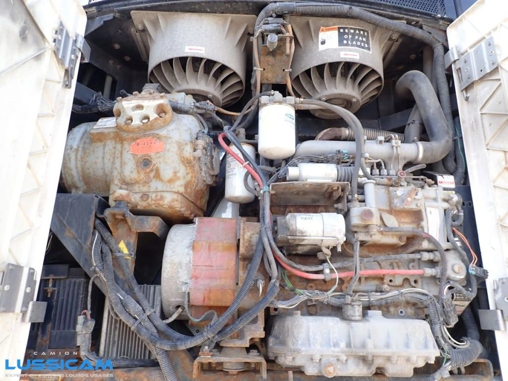 Great Dane Cmt-2914-12238 2009