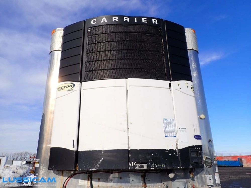 Great Dane Cmt29 2009