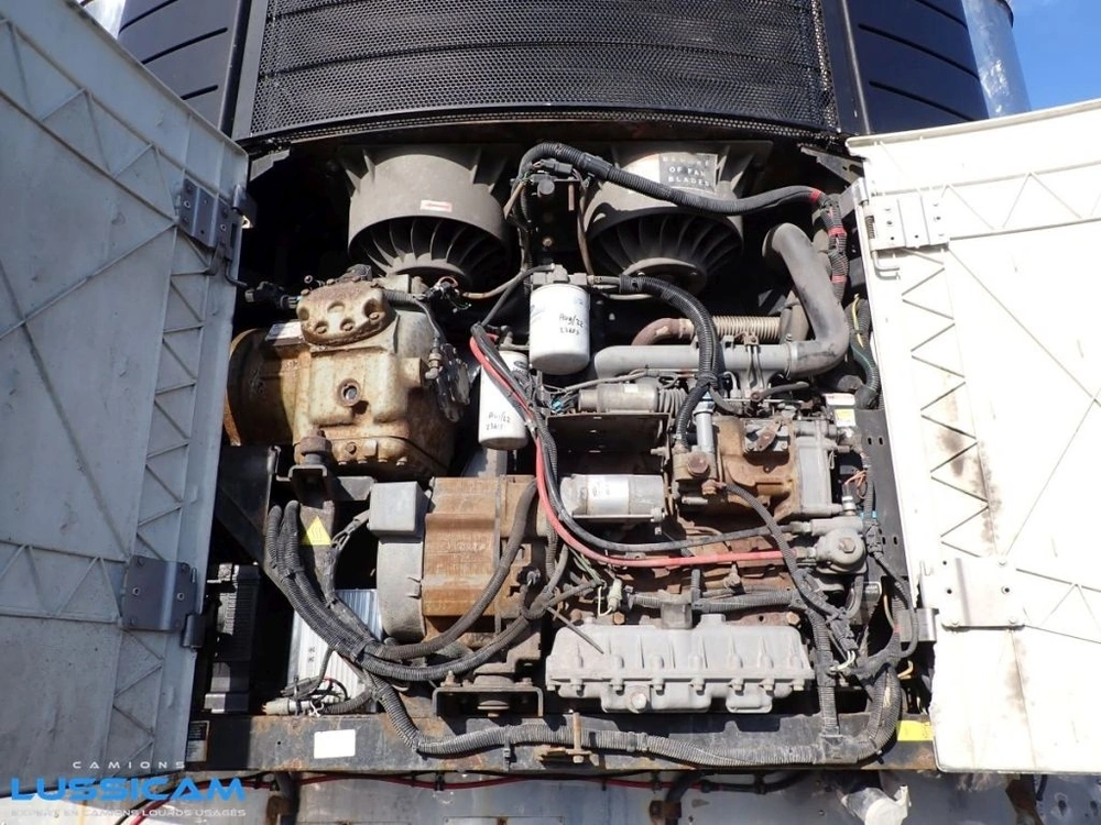 Great Dane Cmt29 2009