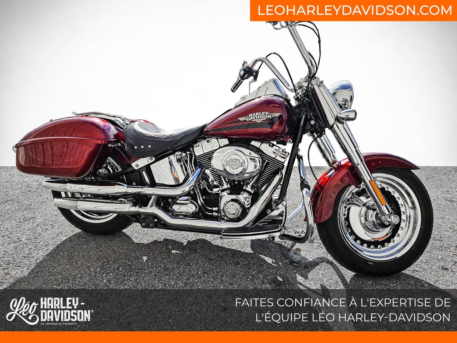 Harley-Davidson FLSTF 2009 - FAT BOY
