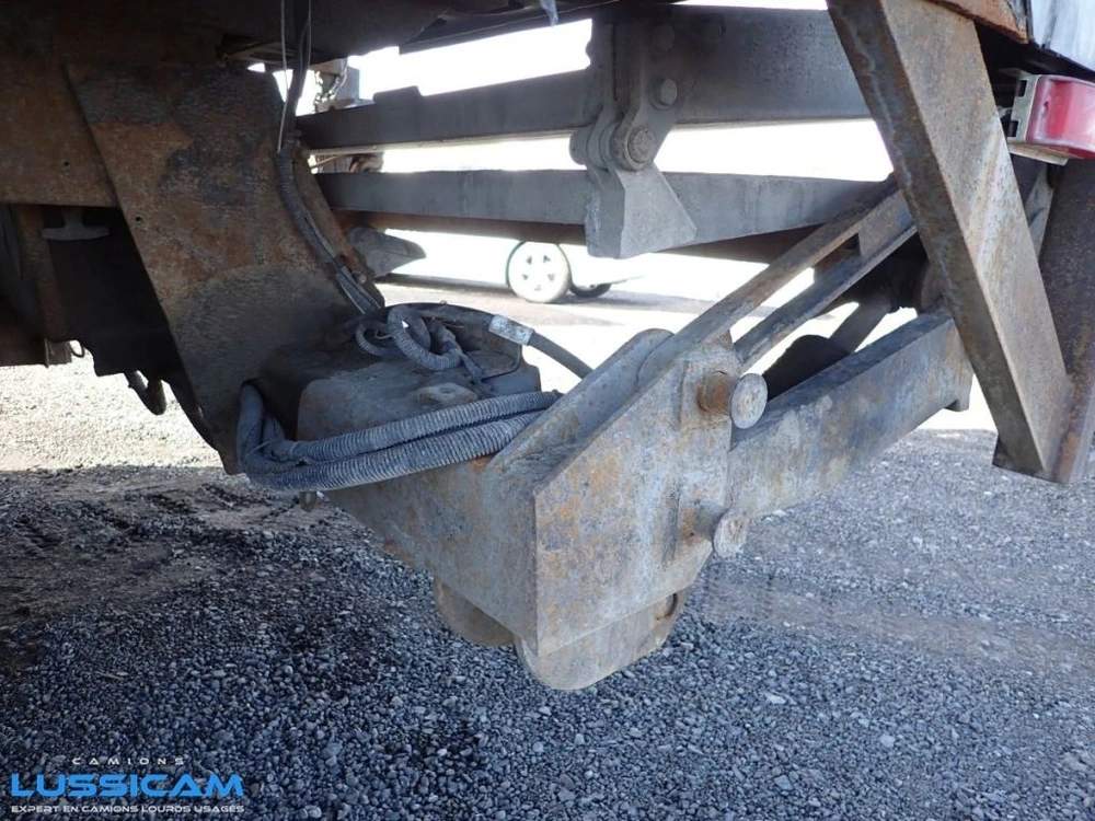 Great Dane Cmt29 2009