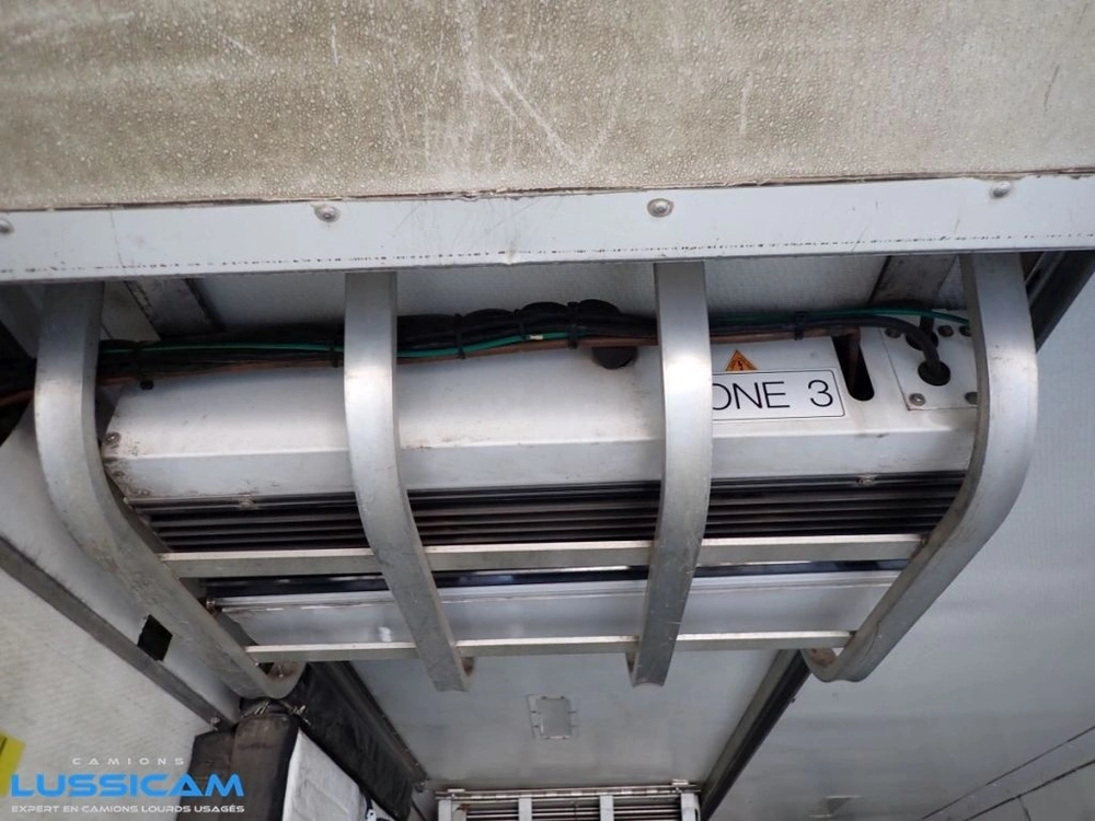 Great Dane Cmt29 2009