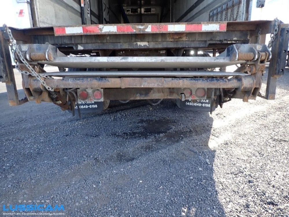 Great Dane Cmt29 2009