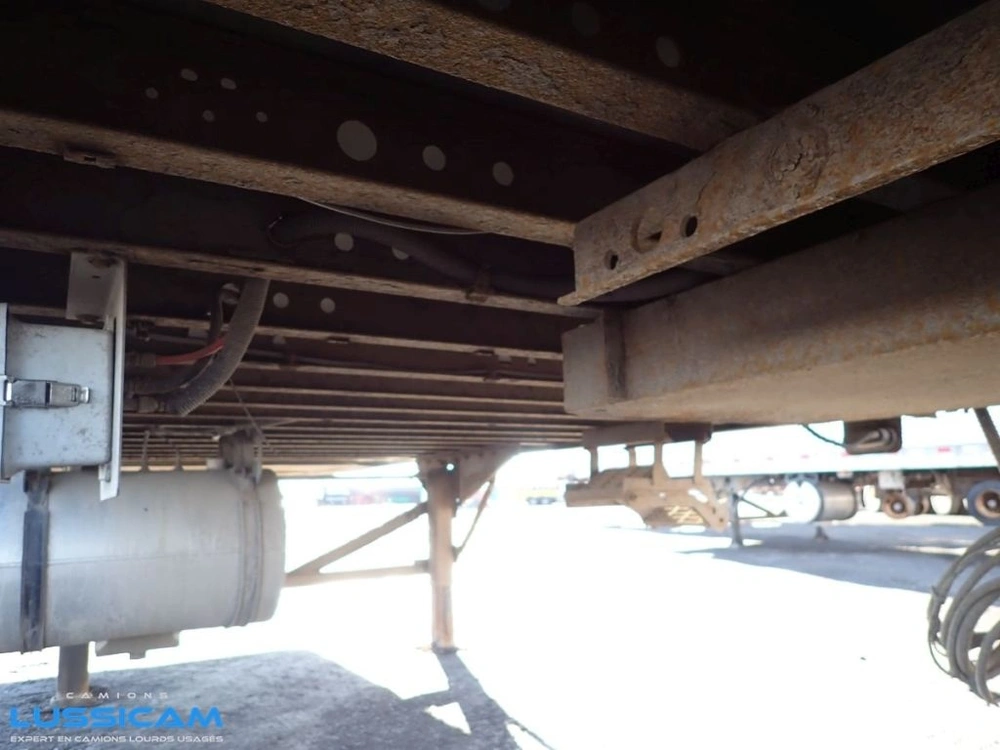 Great Dane Cmt29 2009