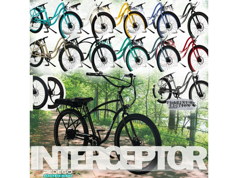 2021 Pedego All Models alt