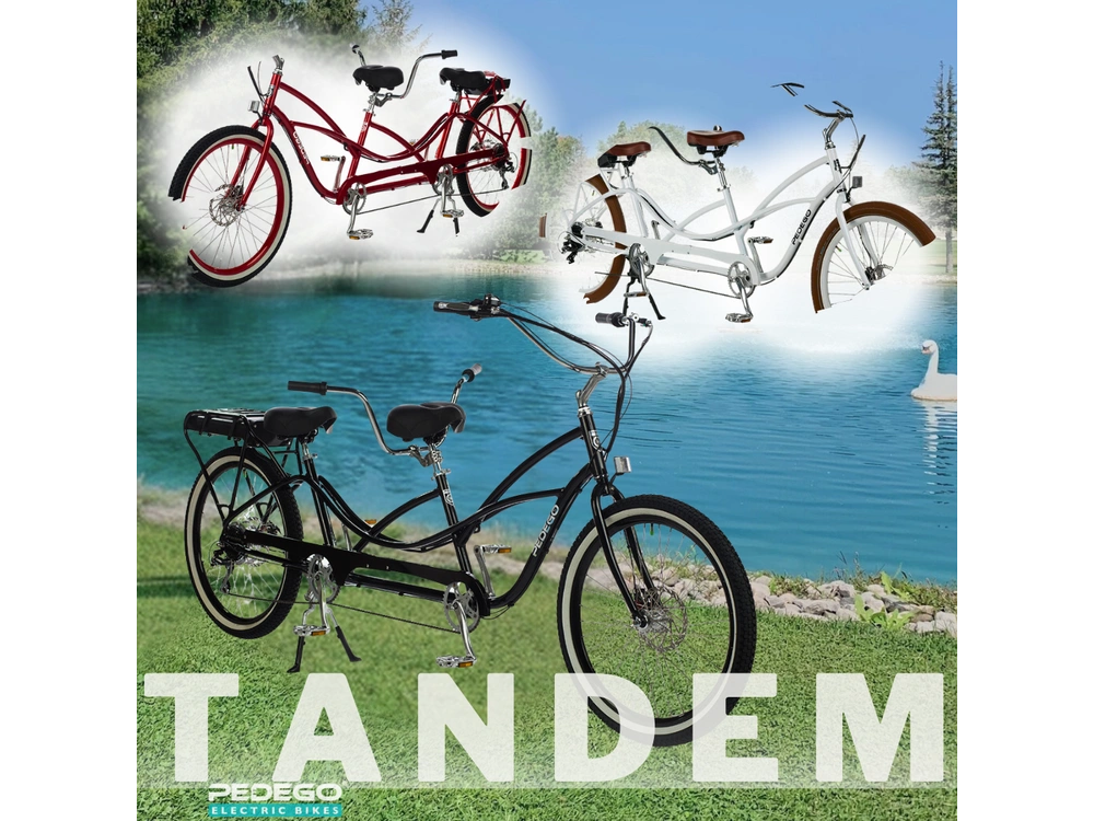 2021 Pedego All Models alt