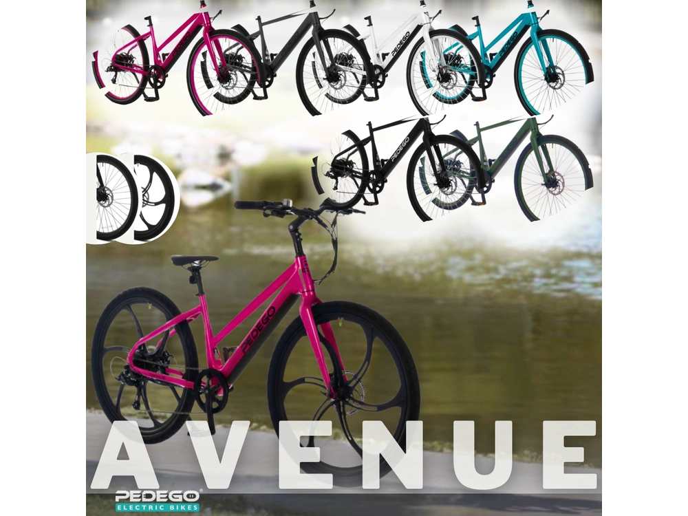 2021 Pedego All Models alt