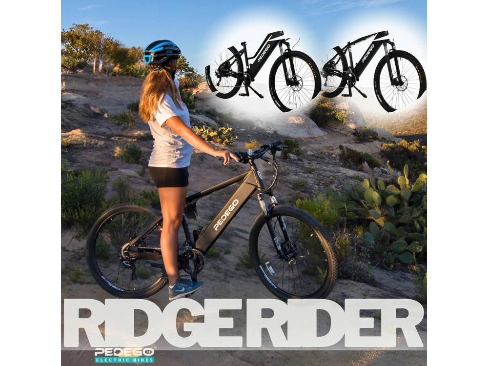 2021 Pedego All Models alt