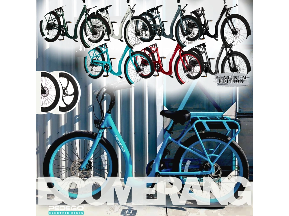 2021 Pedego All Models alt