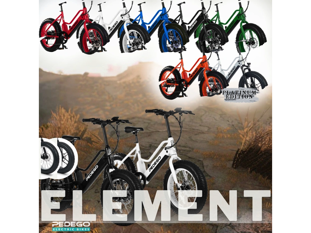 2021 Pedego All Models alt
