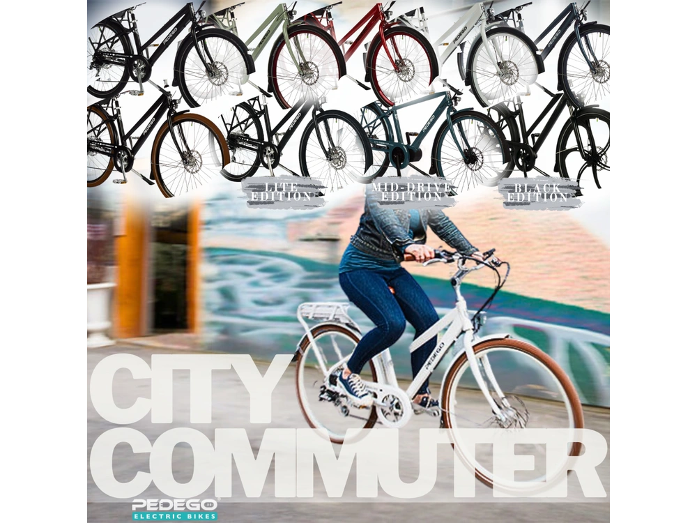 2021 Pedego All Models alt