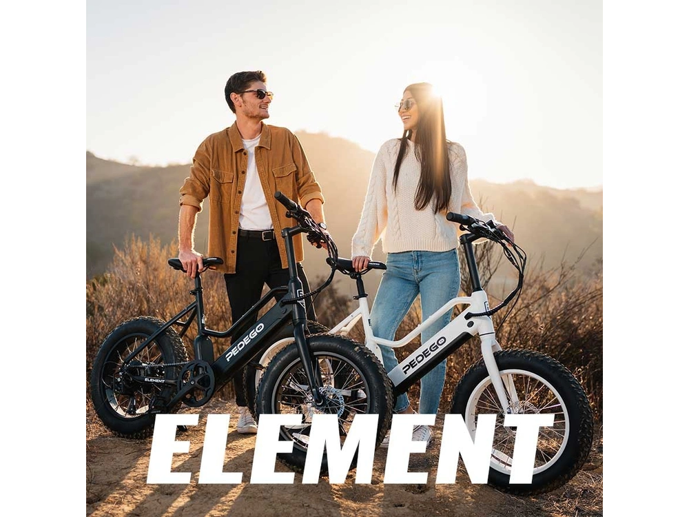 2021 Pedego All Models alt