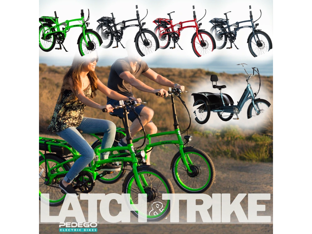 2021 Pedego All Models alt