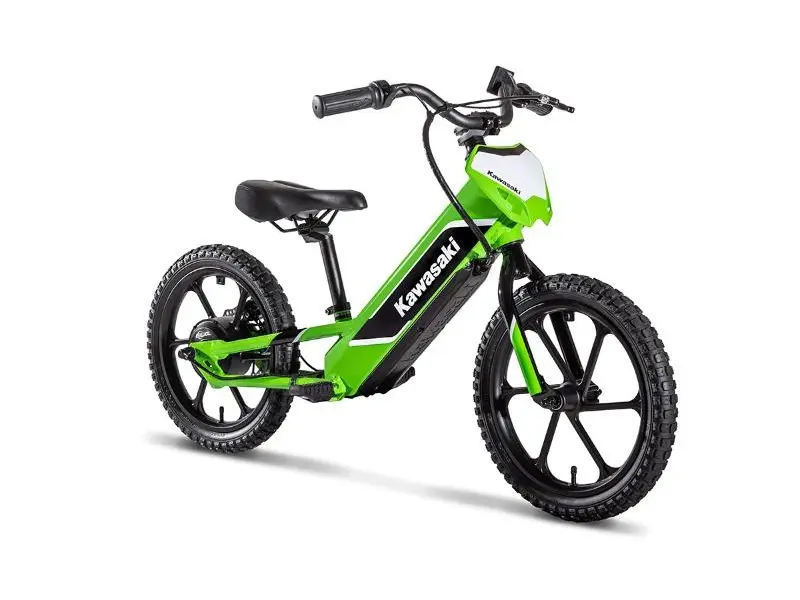 Kawasaki ELEKTRODE (promo 300.0 inclus) 2024