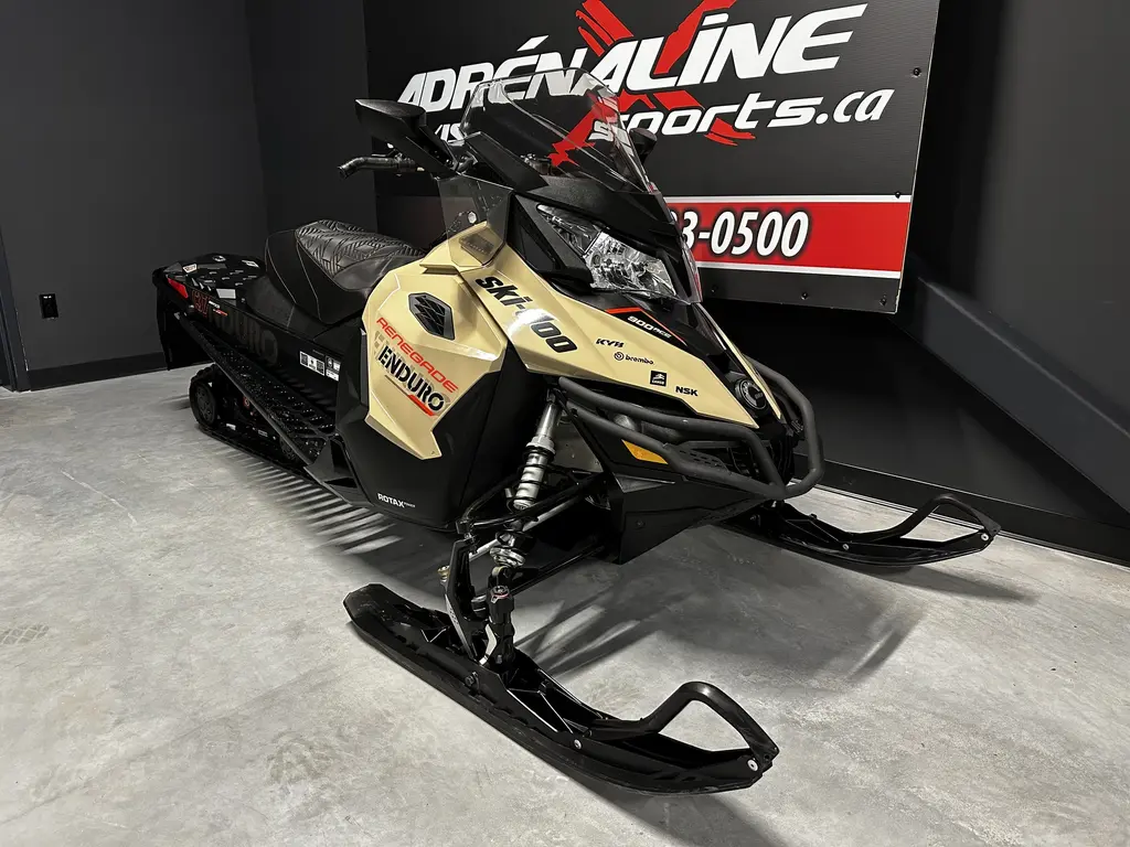 2017 Ski-Doo RENEGADE ENDURO 900 ACE