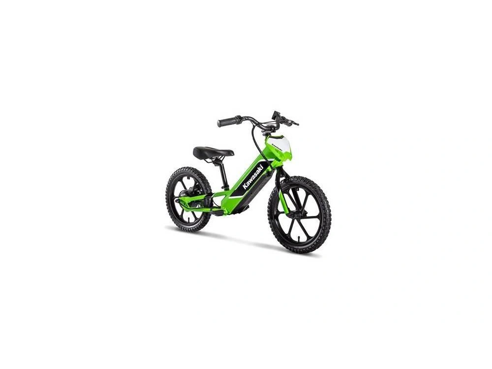 2024 Kawasaki Elektrode alt