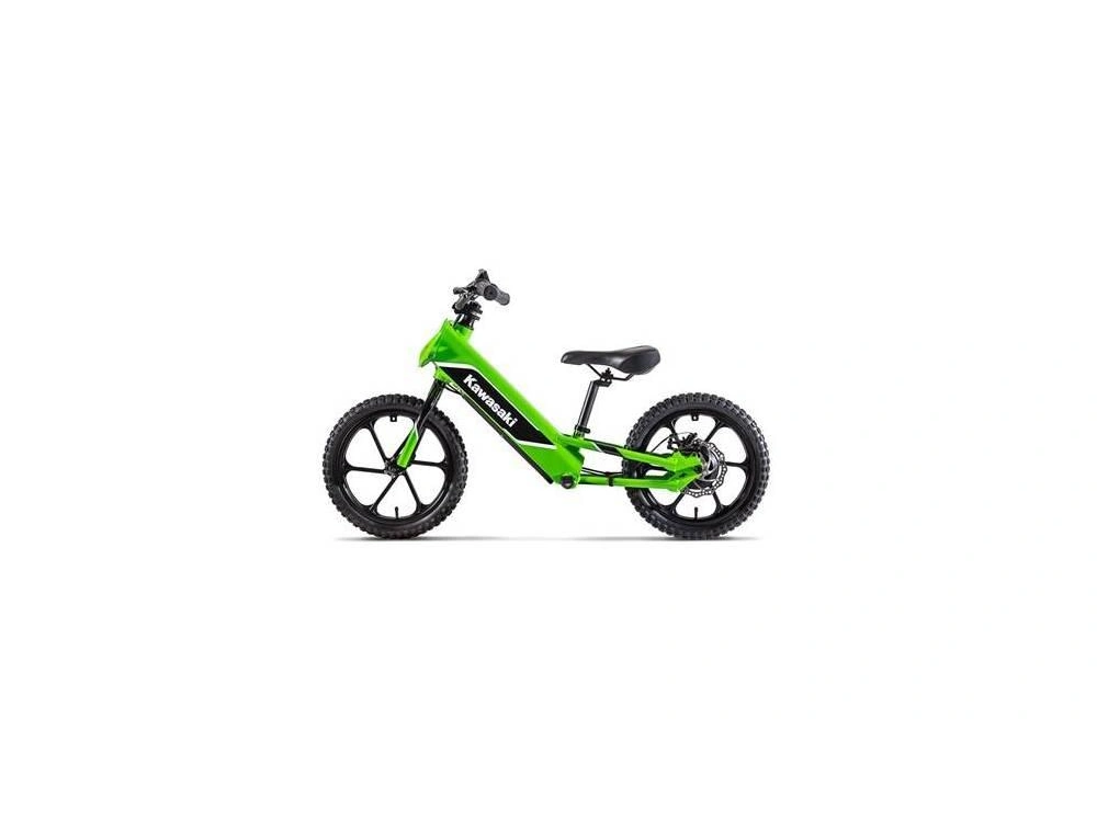 2024 Kawasaki Elektrode alt