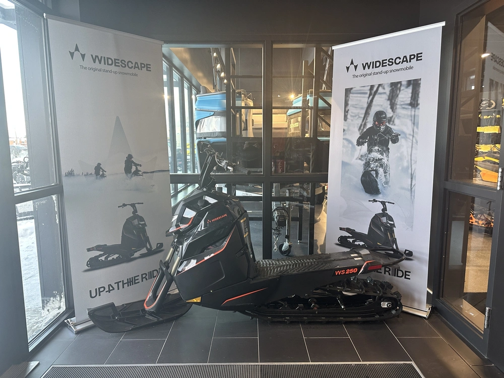 2023 Widescape Widescape Ws250 alt