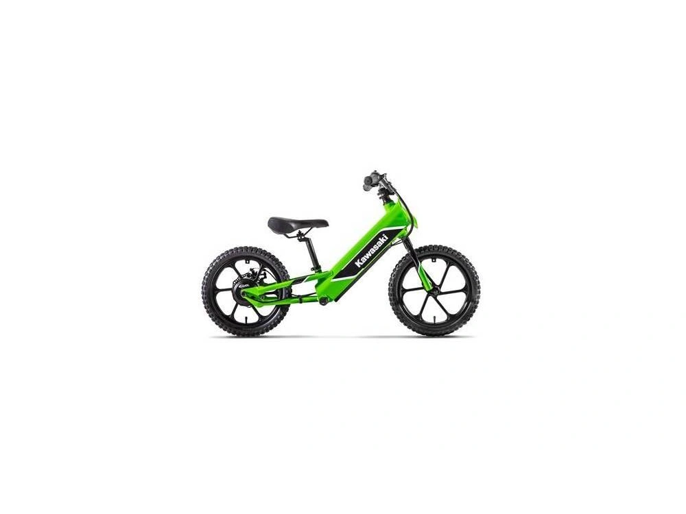 2024 Kawasaki Elektrode alt