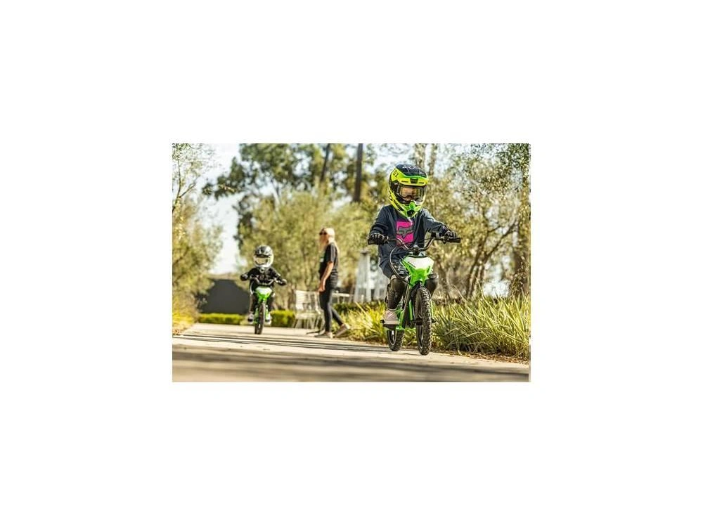 2024 Kawasaki Elektrode alt