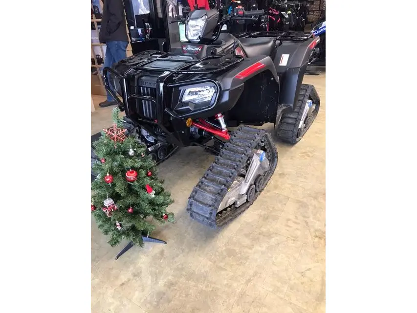 New 2024 Honda Rubicon DCT IRS EPS Deluxe in Woodstock Davesports