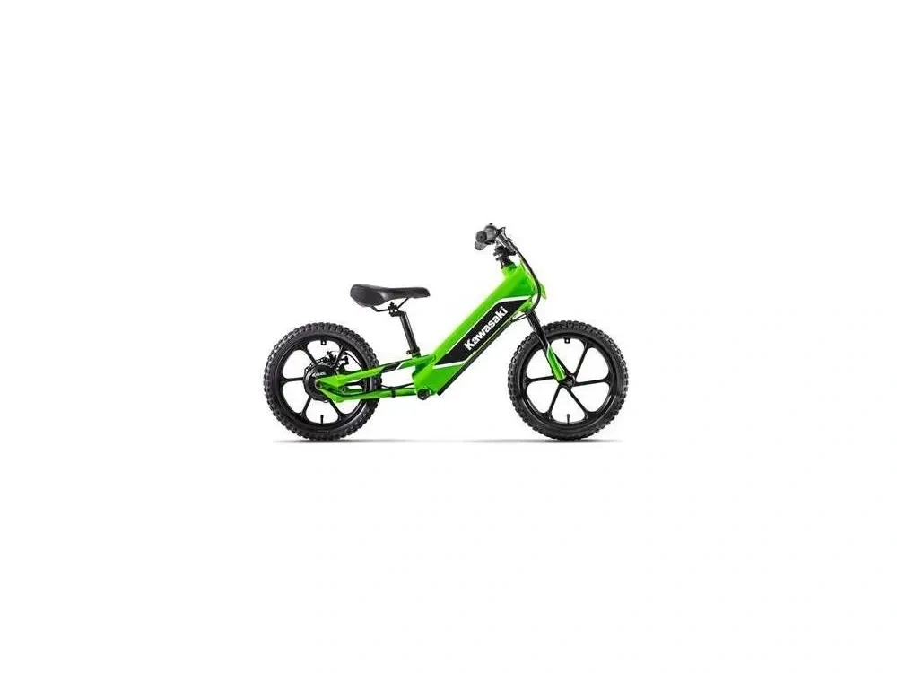 2024 Kawasaki Elektrode alt