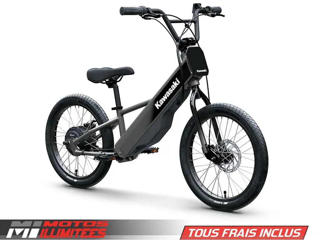 2025 Kawasaki Elektrode 20FS Frais inclus+Taxes