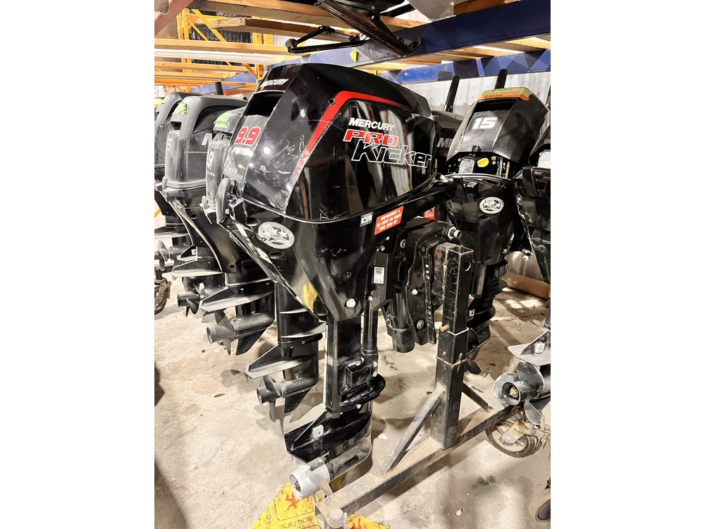 2022 Mercury 9.9 Elpt alt