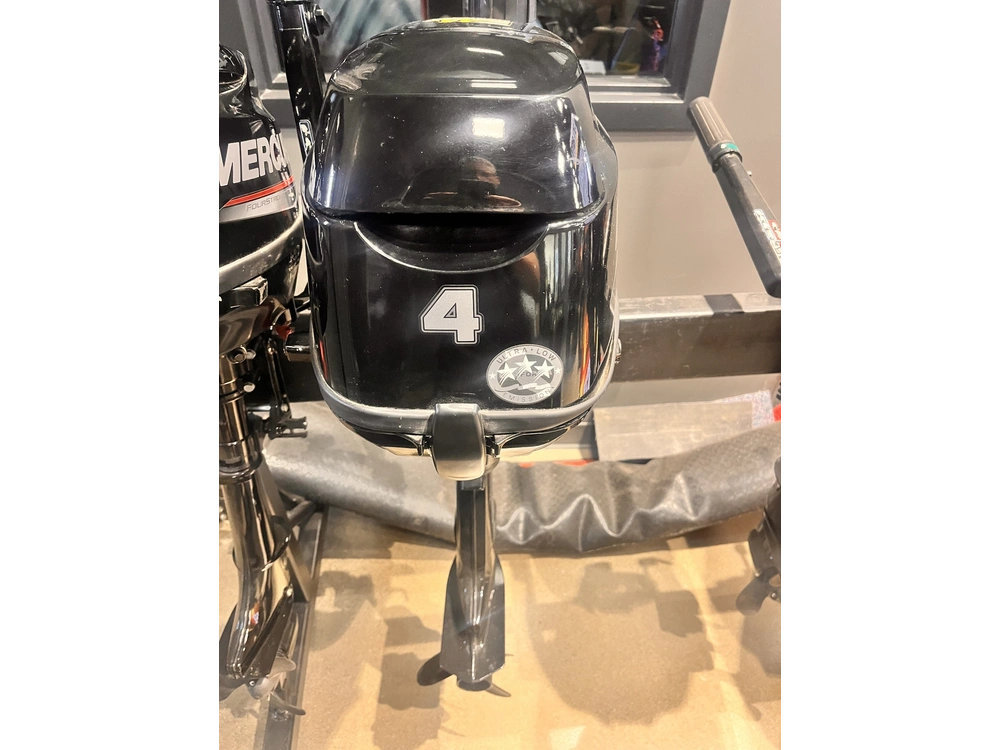 2022 Mercury 4 Hp alt