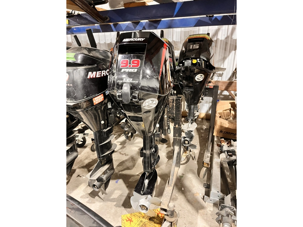 2022 Mercury 9.9 Elpt alt