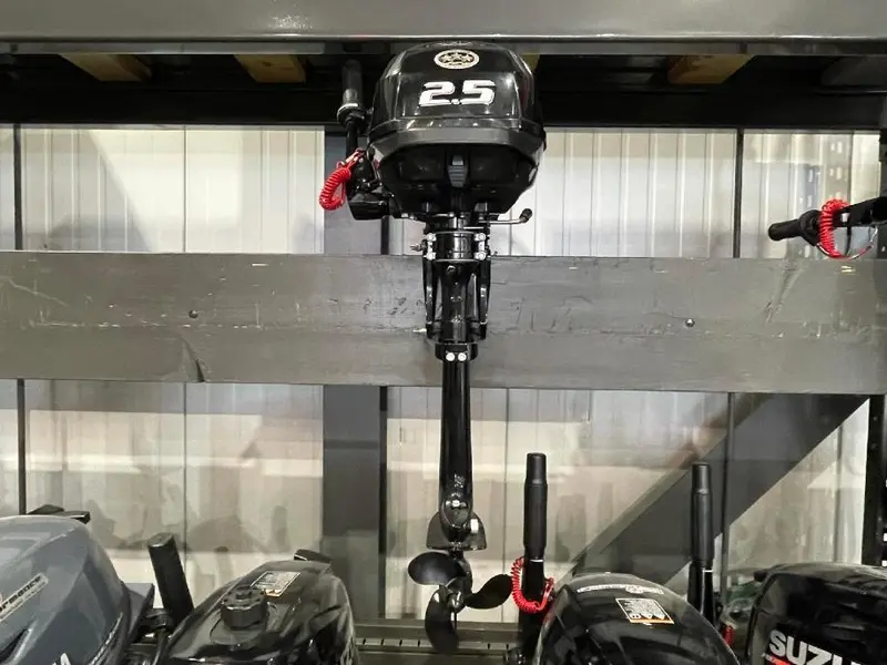 2022 Suzuki MOTEUR HORS-BORD DF2.5S