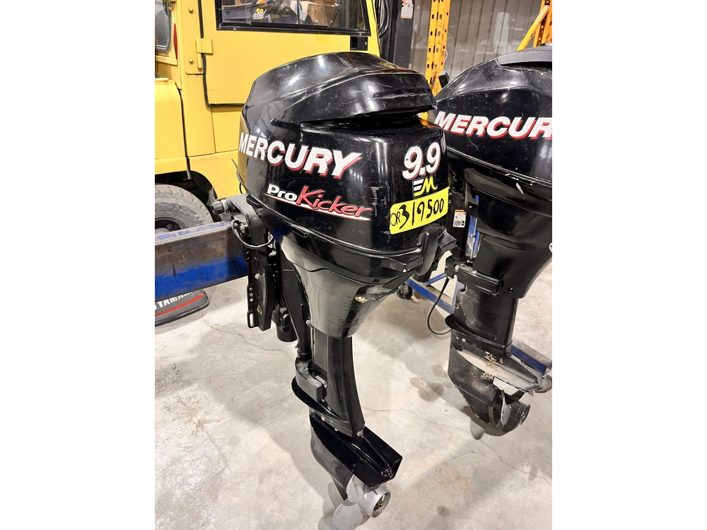 2010 Mercury 9.9 Pro Kicker alt