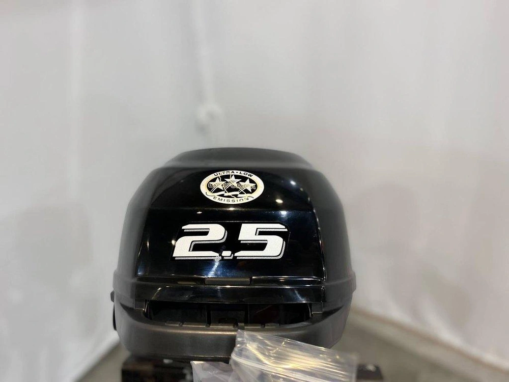 2022 Suzuki Moteur Hors-bord Df2.5s alt