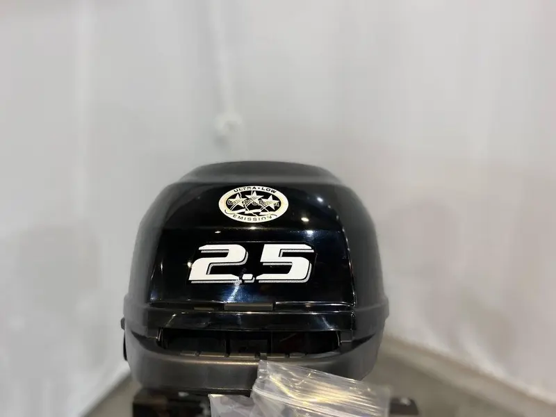 2022 Suzuki MOTEUR HORS-BORD DF2.5S