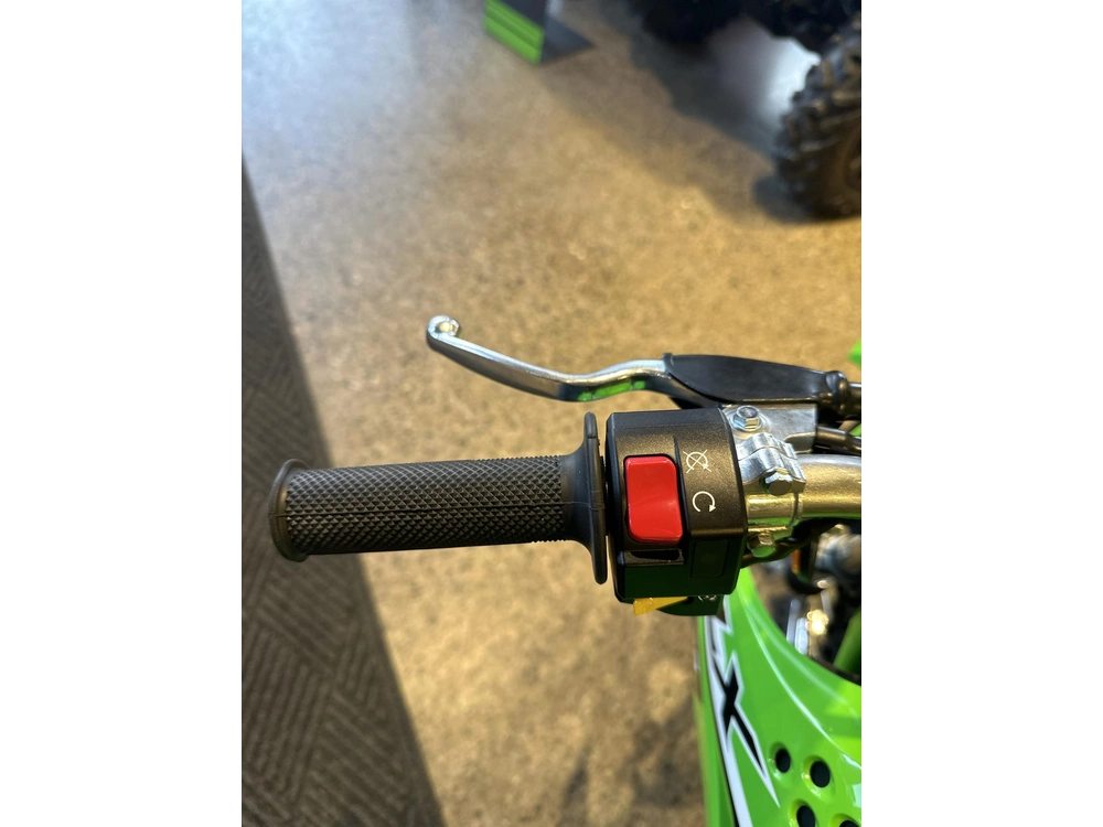 2024 Kawasaki Klx 110r L alt
