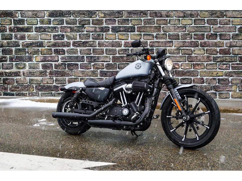 Harley-Davidson XL883N  2020